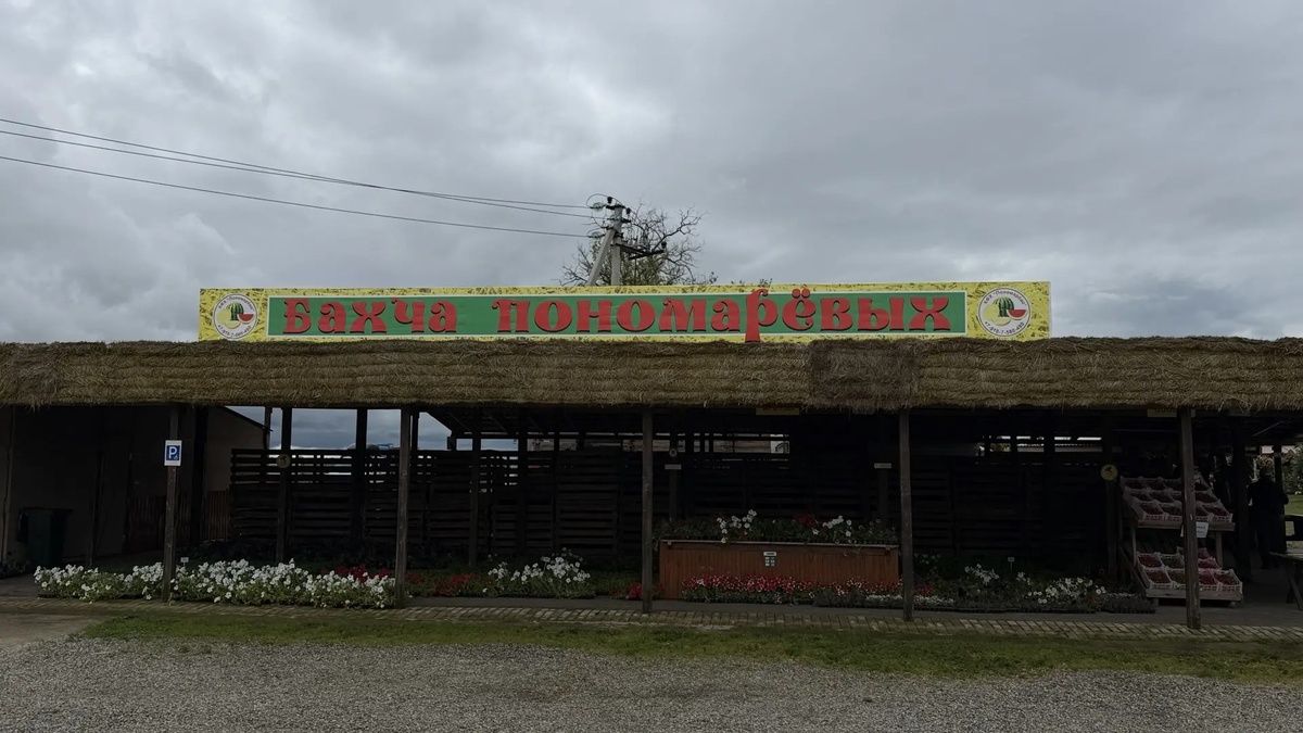 май 2026