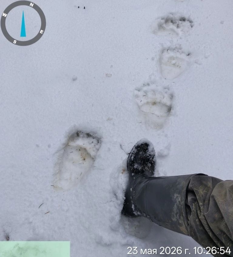 -1-2