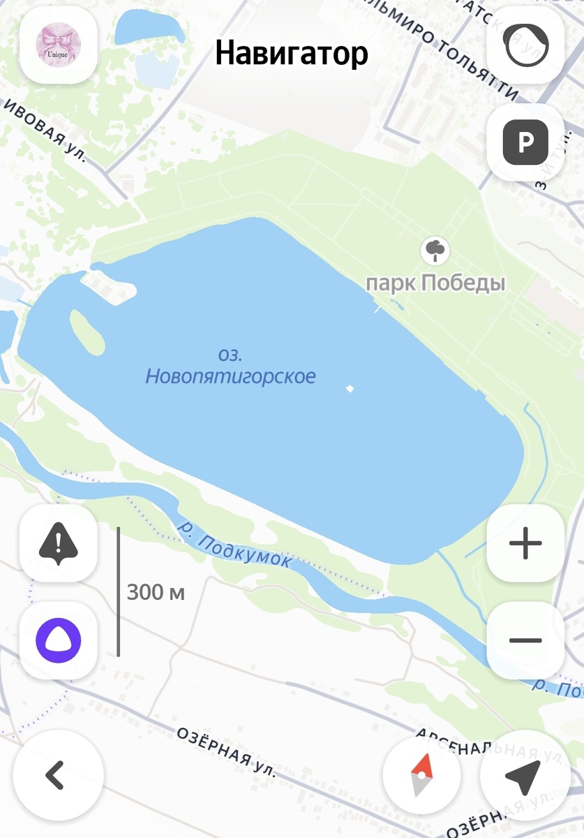 Большое озеро если верить картам 