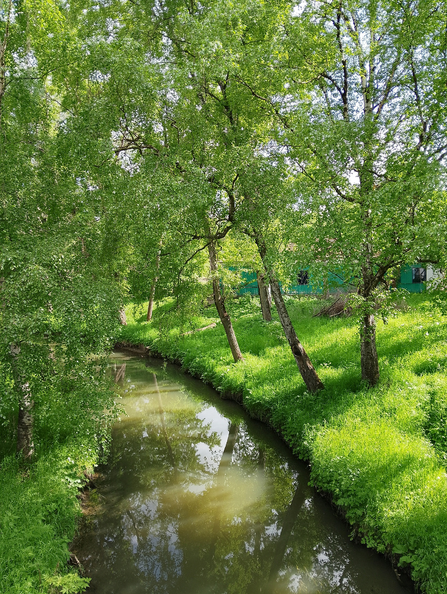Речка Золотуха в тени берёз, фото автора 