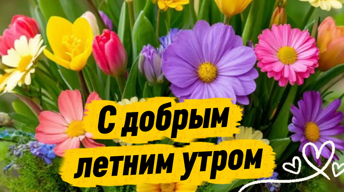 с добрым красивым летним утром