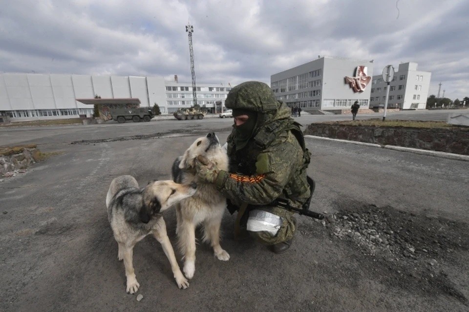    Военэксперт Дандыкин: назначение Буданова* главкомом ВСУ ухудшит позиции Украины Владимир ВЕЛЕНГУРИН
