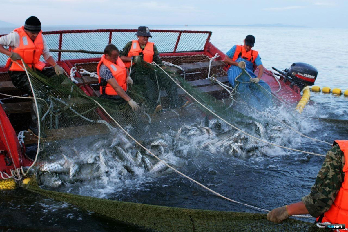    fish.gov.ru