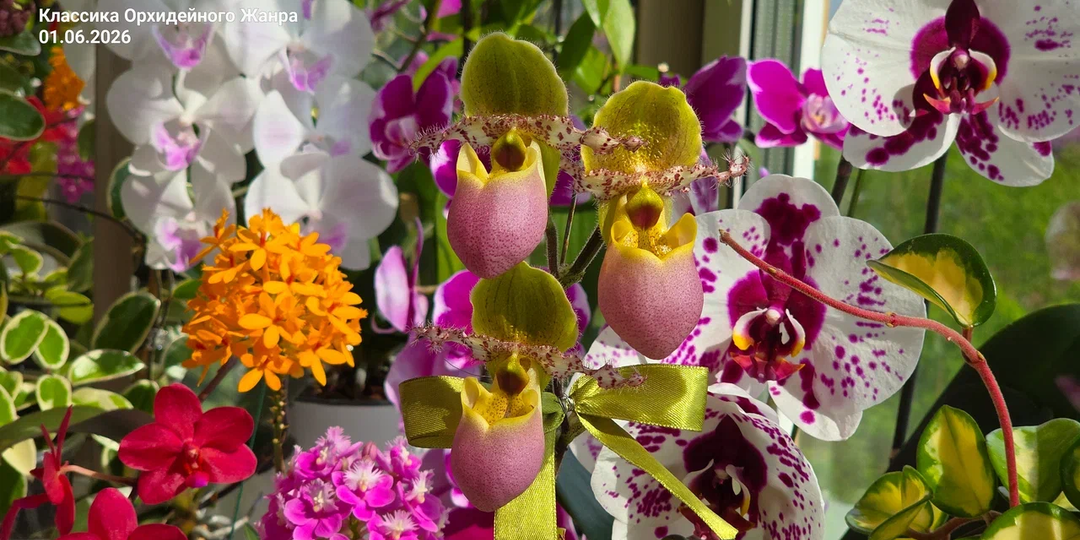 ☀️🙂☀️ ПЛАНЫ НА ЛЕТО - ЦВЕСТИ!
