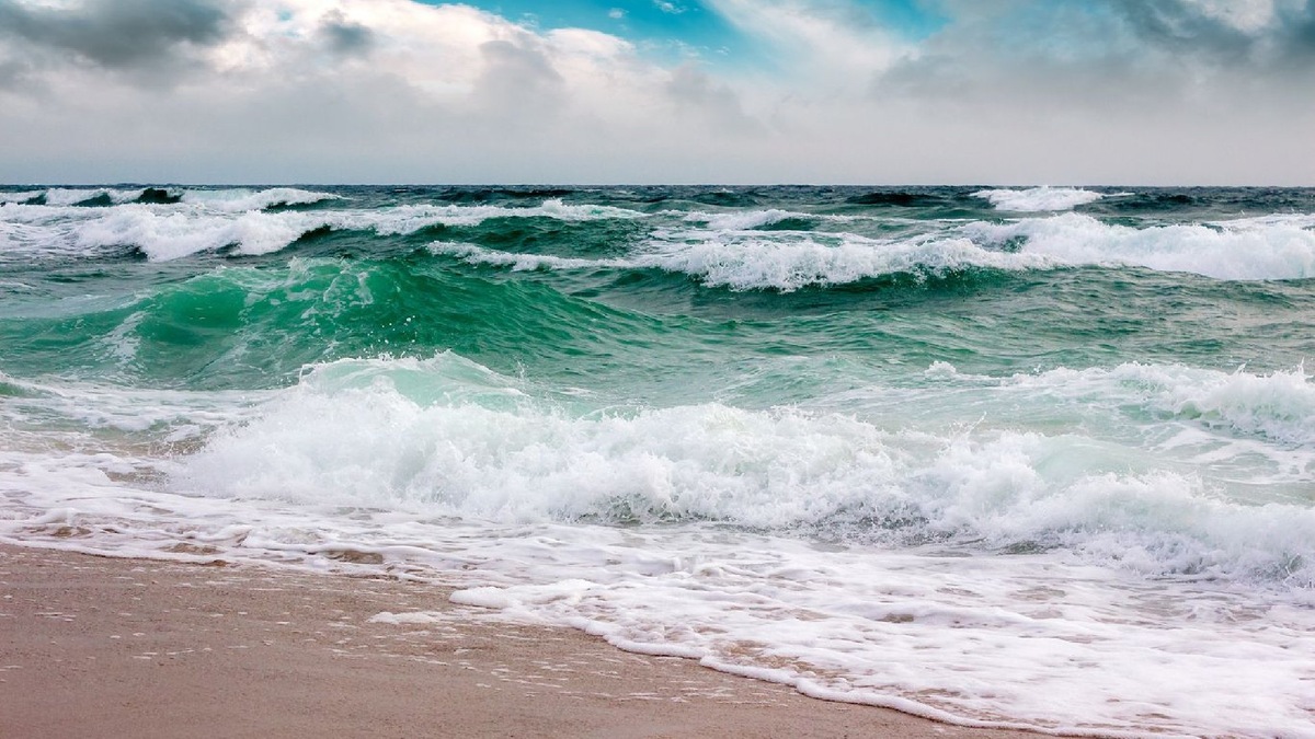    Фото: istockphoto/Mike_Pellinni