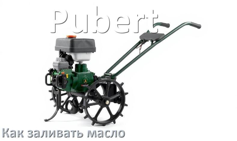 
Как залить масло в мотоблок Pubert в двигатель и редуктор