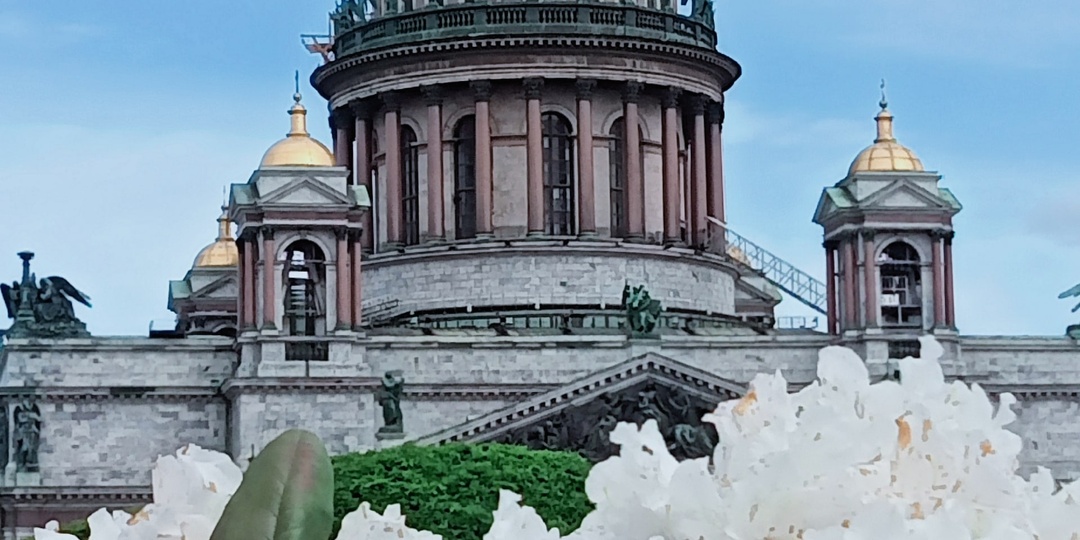 Привезла в Петербург тепло и сердце