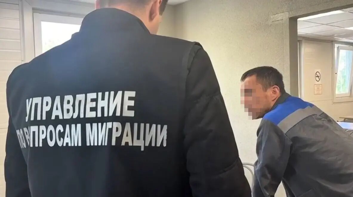    Фото: кадр видео ГУ МВД по Петербургу и Ленобласти