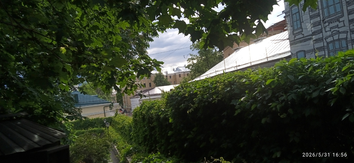 В Морозовском саду.