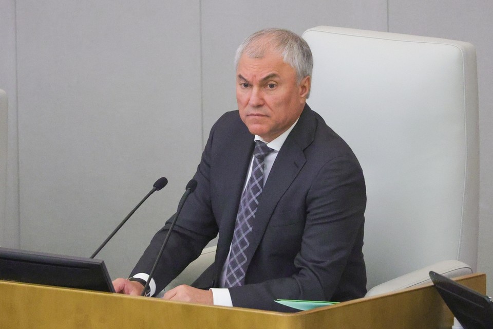    Володин назвал законы, которые вступают в силу в июне. Фото: Shatokhina Natalia/GLOBAL LOOK PRESS