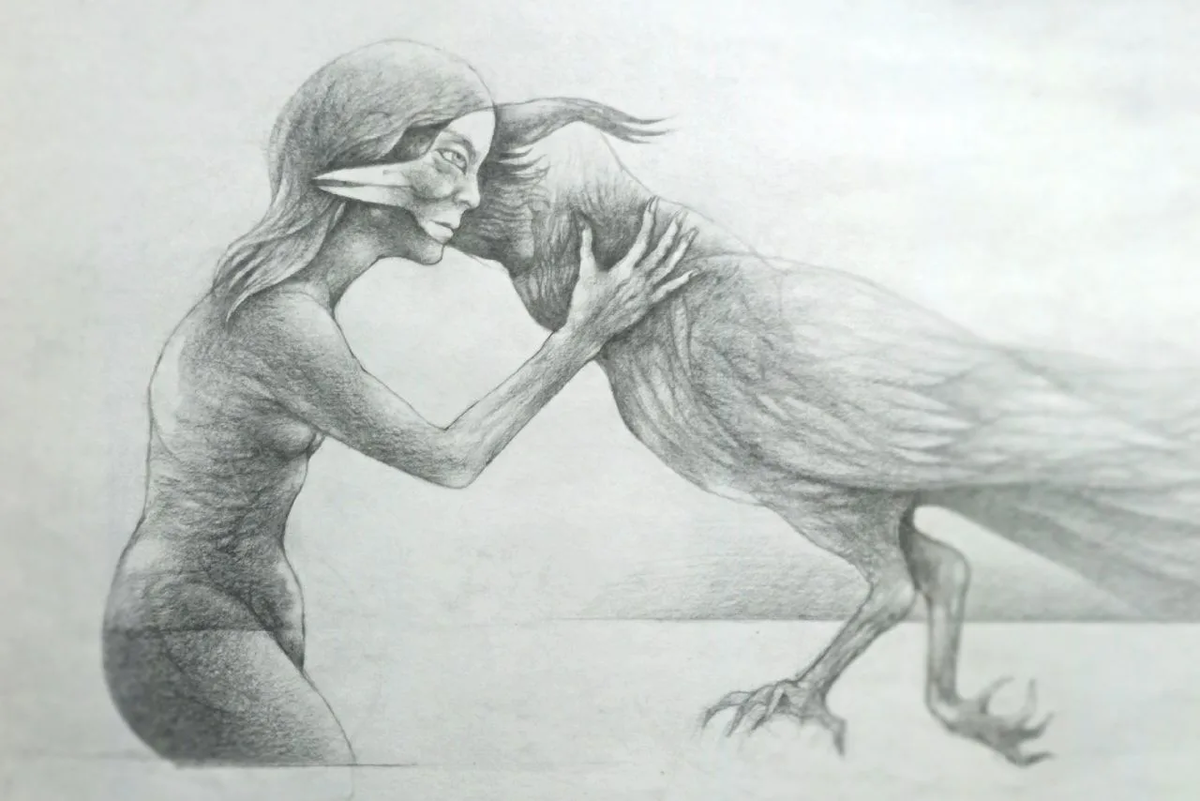 Кот