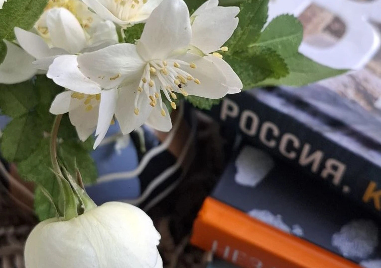 5 книг для любителей путешествий. Подборка к летним каникулам