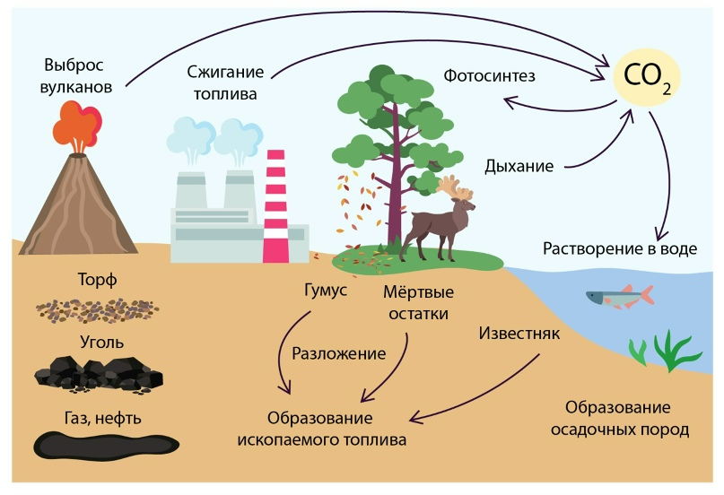 источник сеть интернет