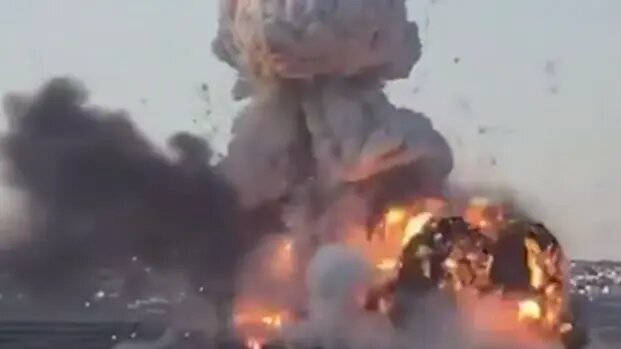    Источник: vm.ru/ Федор Никулина