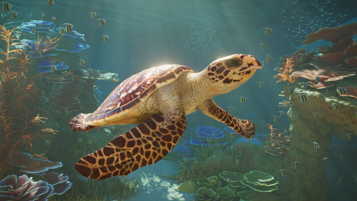    Галерея игры Planet Zoo 2