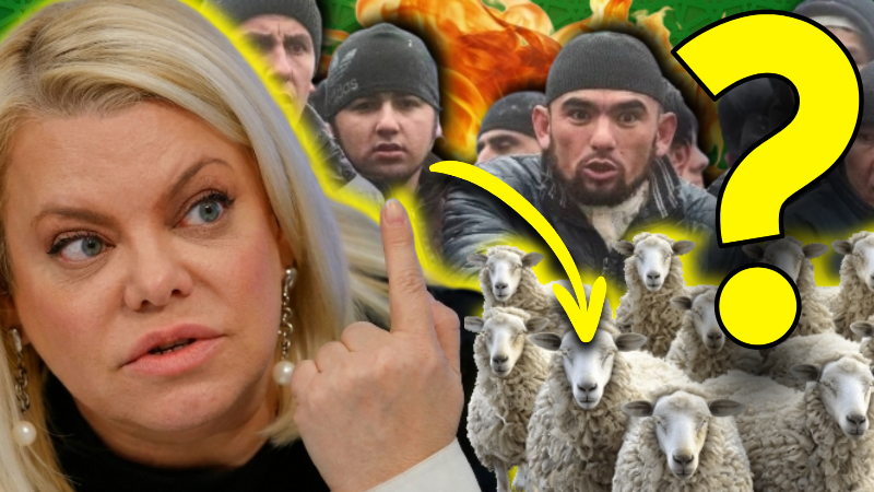 «Это вы тут у нас в гостях! А не мы!» Дерзкий ответ мигранта шокировал уральцев! Выпас овец у детсада в Екатеринбурге! Яна Поплавская в шоке