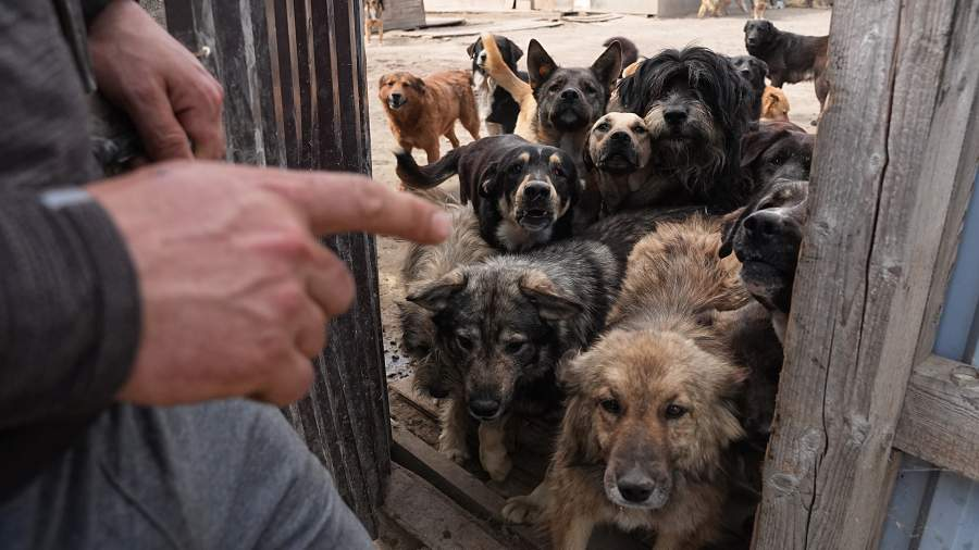 Фото: ИЗВЕСТИЯ/Павел Волков