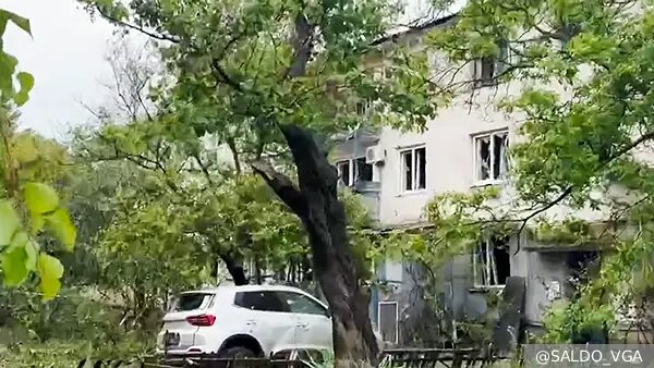    Источник: vz.ru/  Алла Бородина