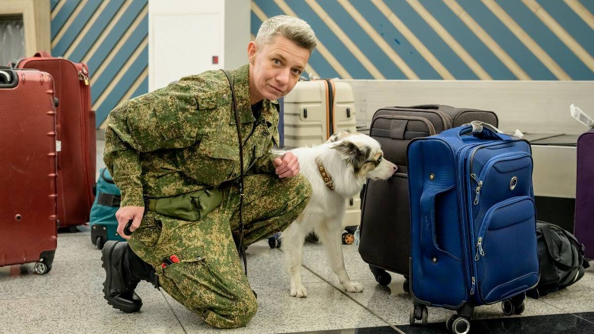    Капитан таможенной службы кинологического отдела Шереметьевской таможни Ольга Миронова с бордер-колли Мией проверяет багаж / Фото: Дмитрий Дубинский / Вечерняя Москва