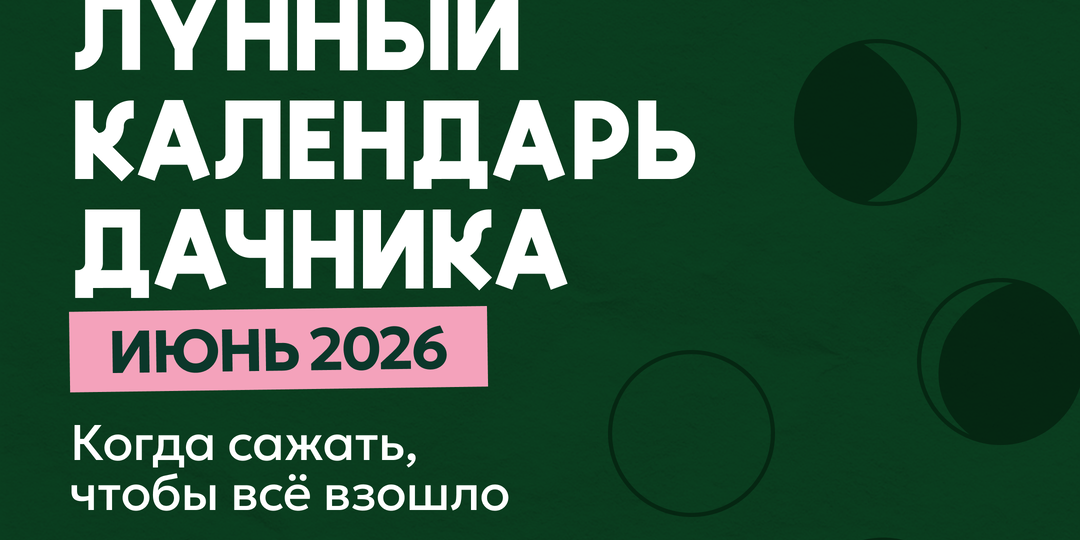 🌙 Лунный календарь дачника на июнь 2026: когда сажать, чтобы точно взошло