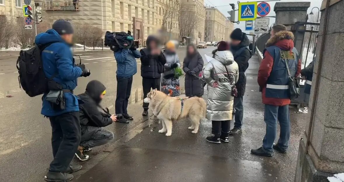    Фото: скрин видео комитета по вопросам законности, правопорядка и безопасности Петербурга