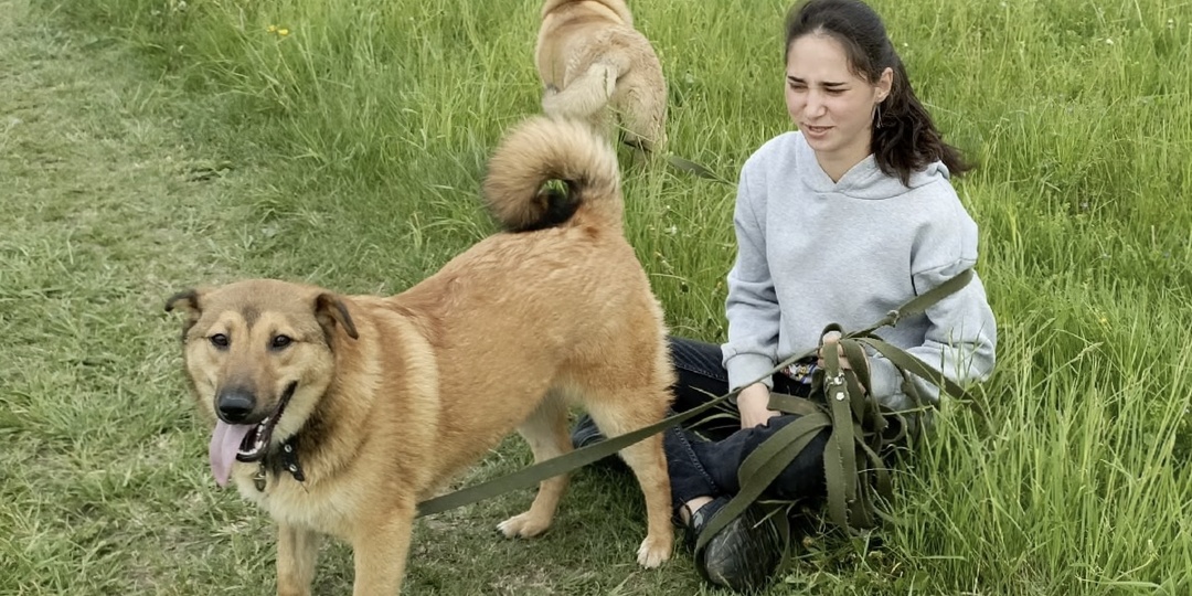 Жизнь кипит: новости из приюта, большая мечта и добрые помощники
