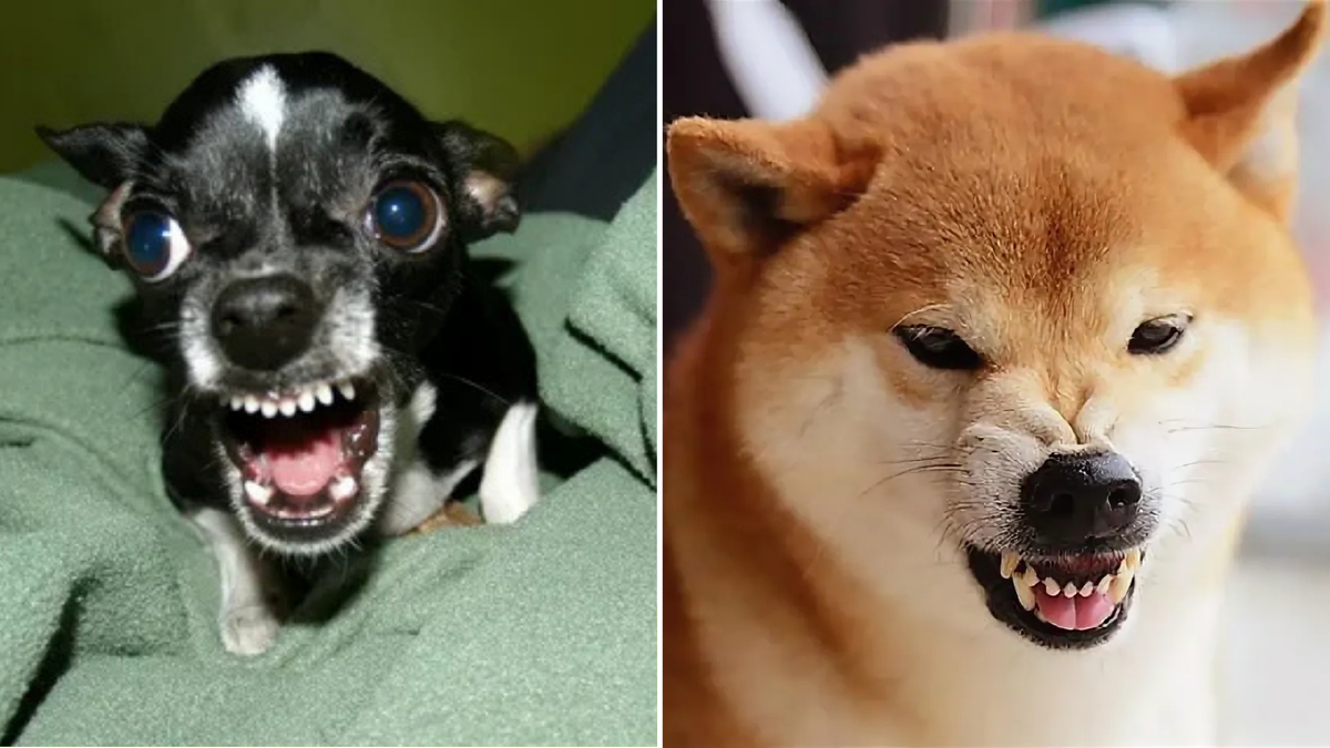 Опасно