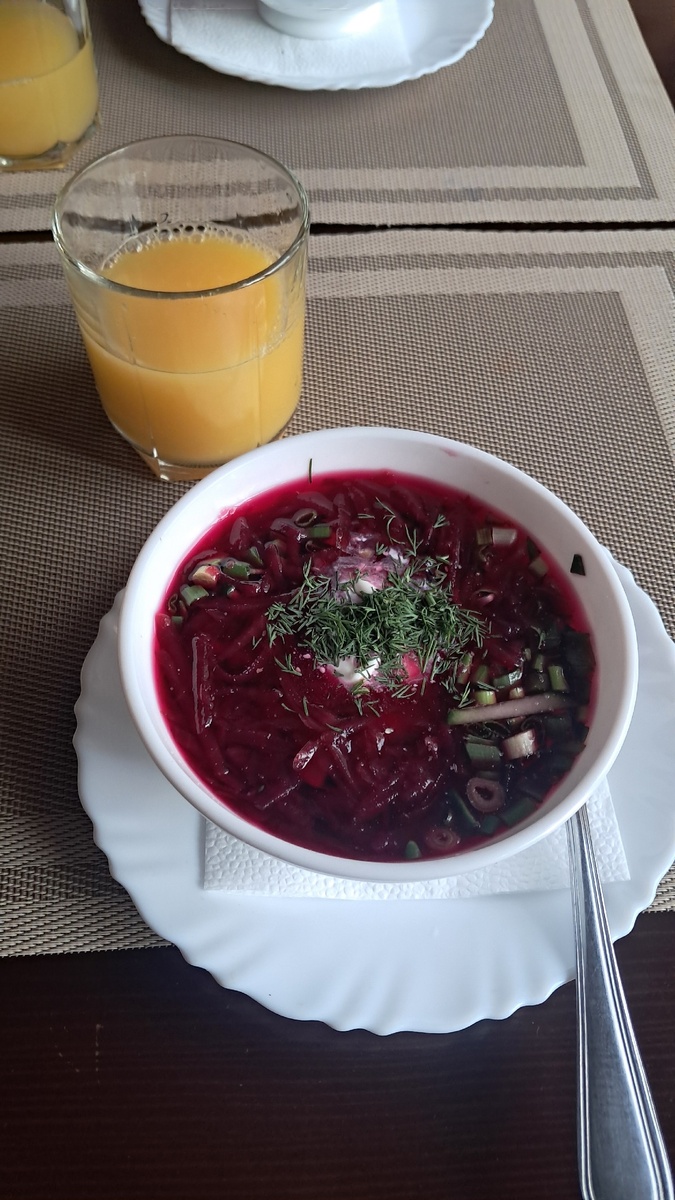 Очень вкусный холодный борщ с  кусочками говядины