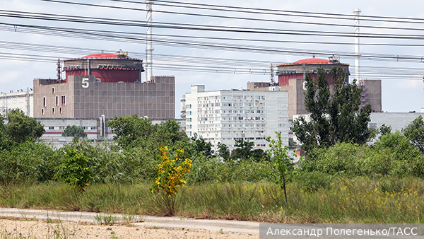    Фото: Александр Полегенько/ТАСС   
 Текст: Ольга Иванова