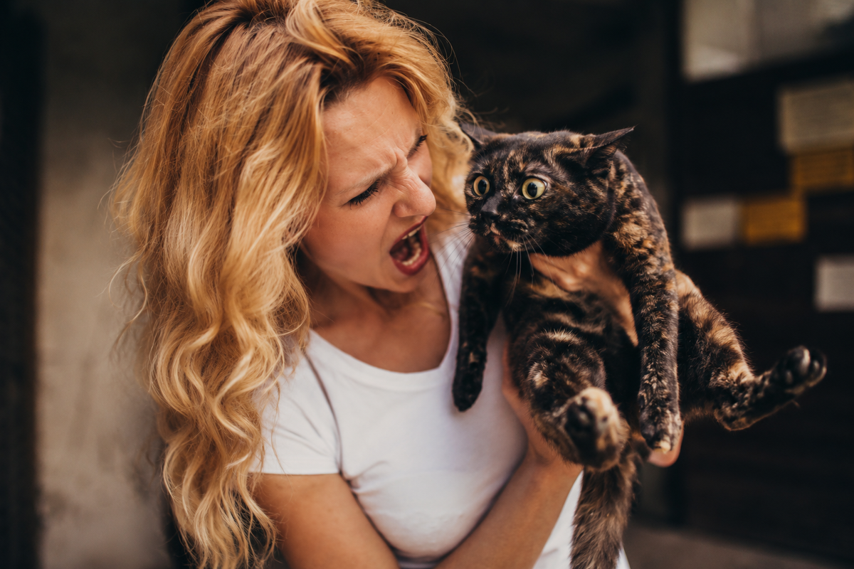 Женщина кричит на кошку 