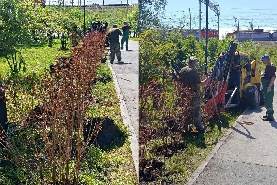   Завтра озеленители продолжат работу. Фото: мэрия Новосибирска