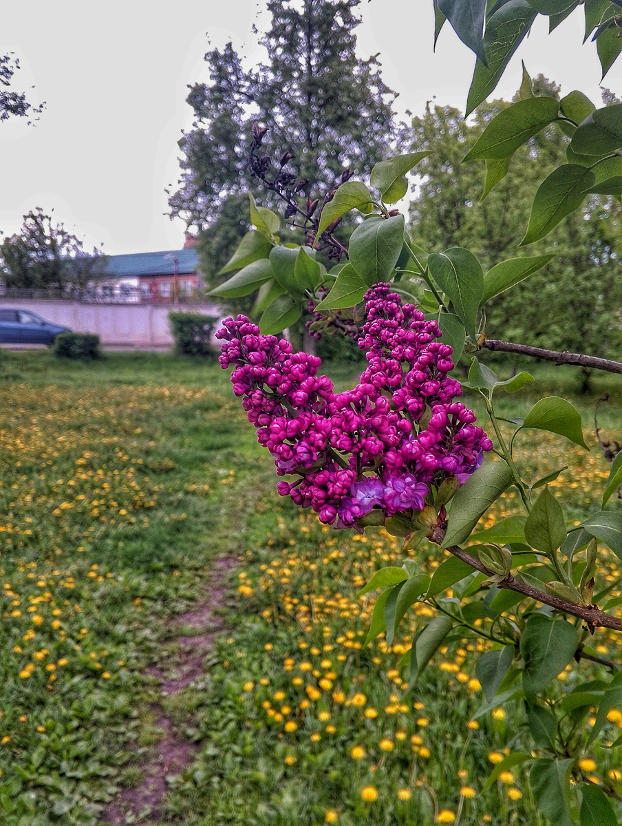 Это было в начале мая. Фото автора.