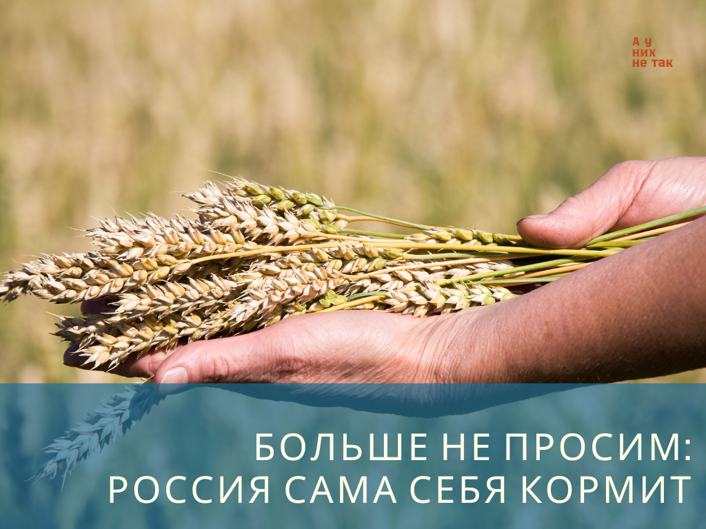 Фото: canva.com