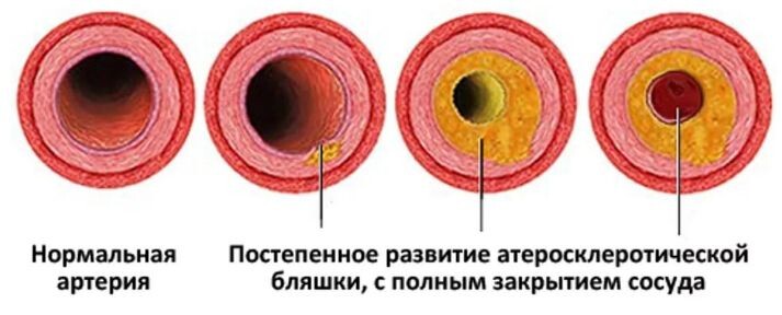 фото из открытого источника