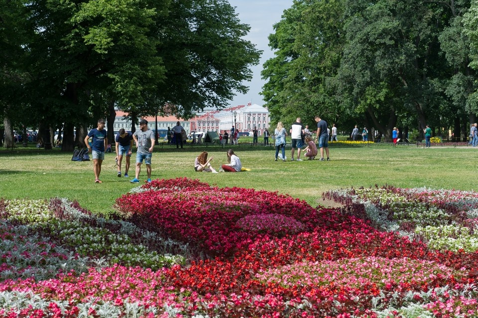    Специалисты укоренили 12 тысяч кустарников и отремонтировали 28 тысяч квадратных метров газонов. Олег ЗОЛОТО
