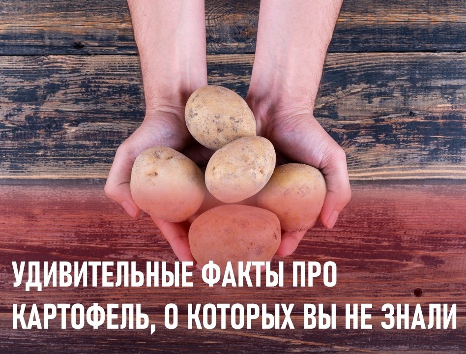Фото: https://www.magnific.com/ru