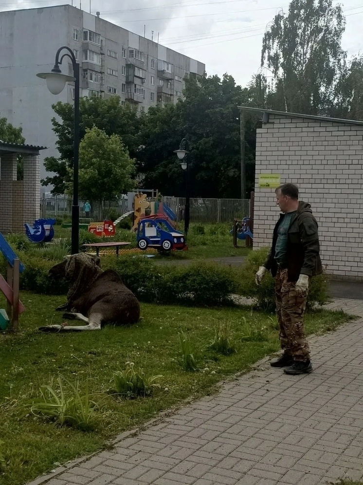     фото Министерство природопользования
