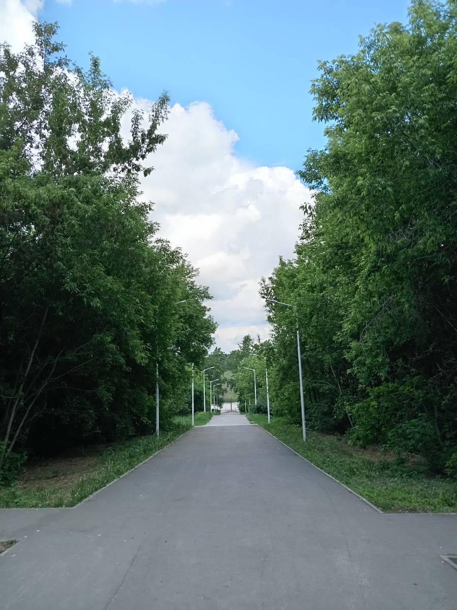 Фото из личного архива автора 