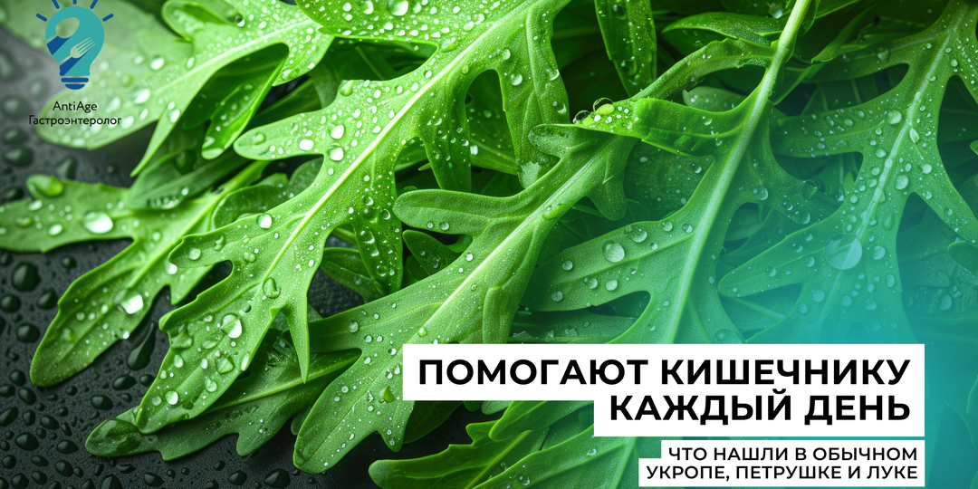 Укроп, петрушка, зелёный лук и базилик: почему самая полезная еда на столе часто остаётся без внимания