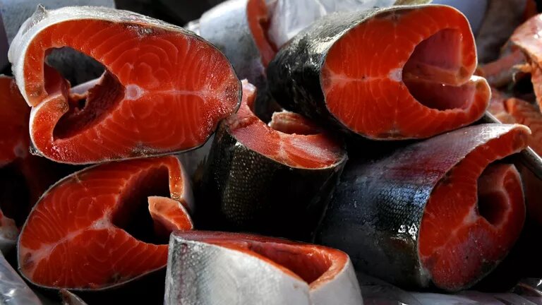 © РИА Новости / Виталий Аньков