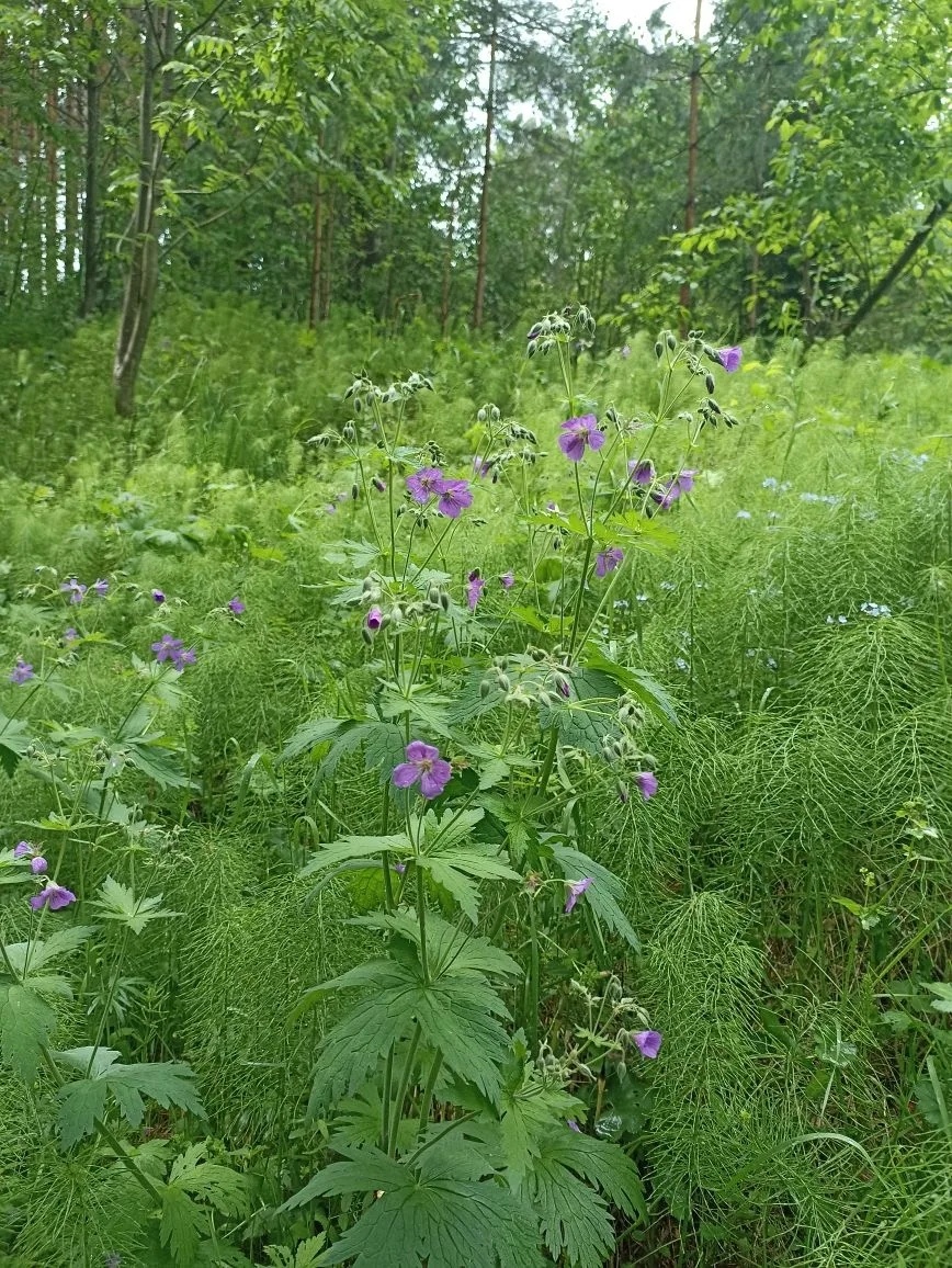 Фото автора статьи.