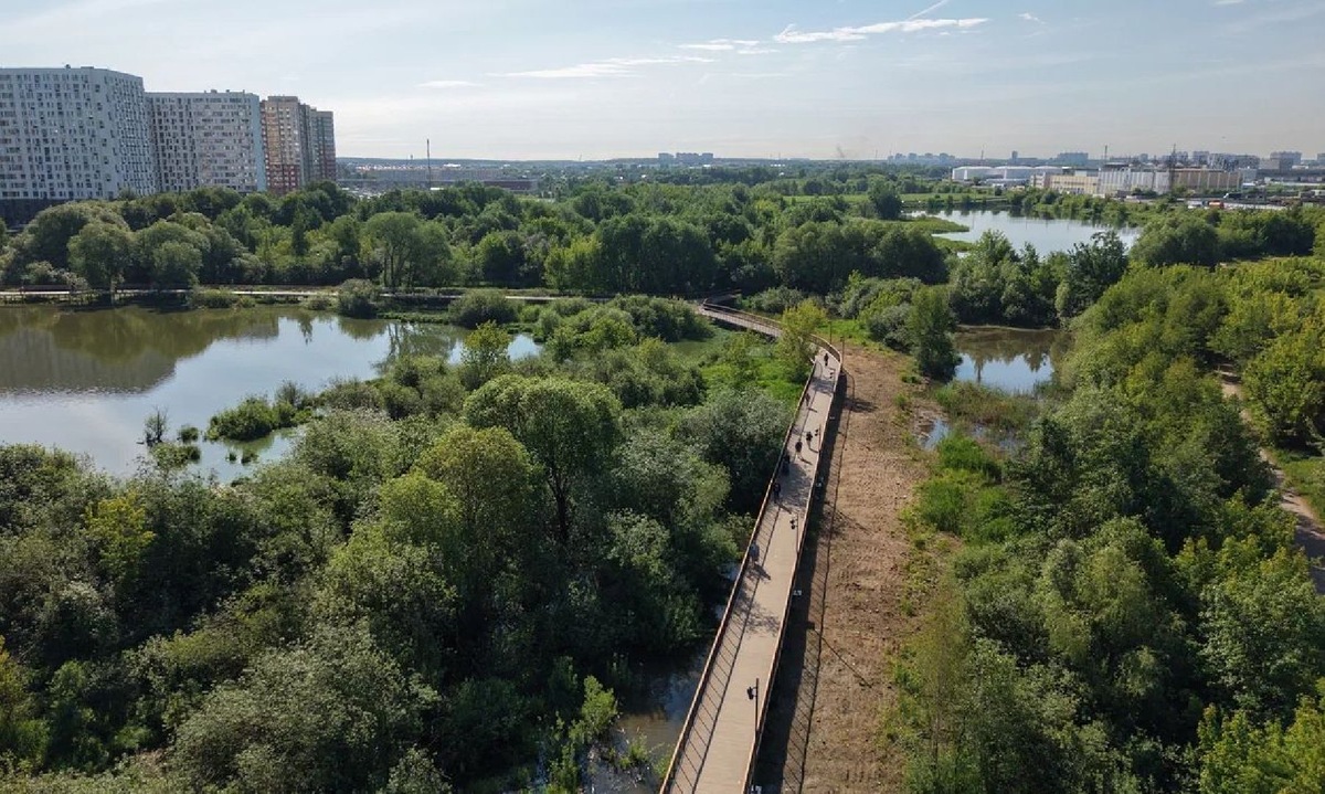    Фото: пресс-служба губернатора и правительства МО