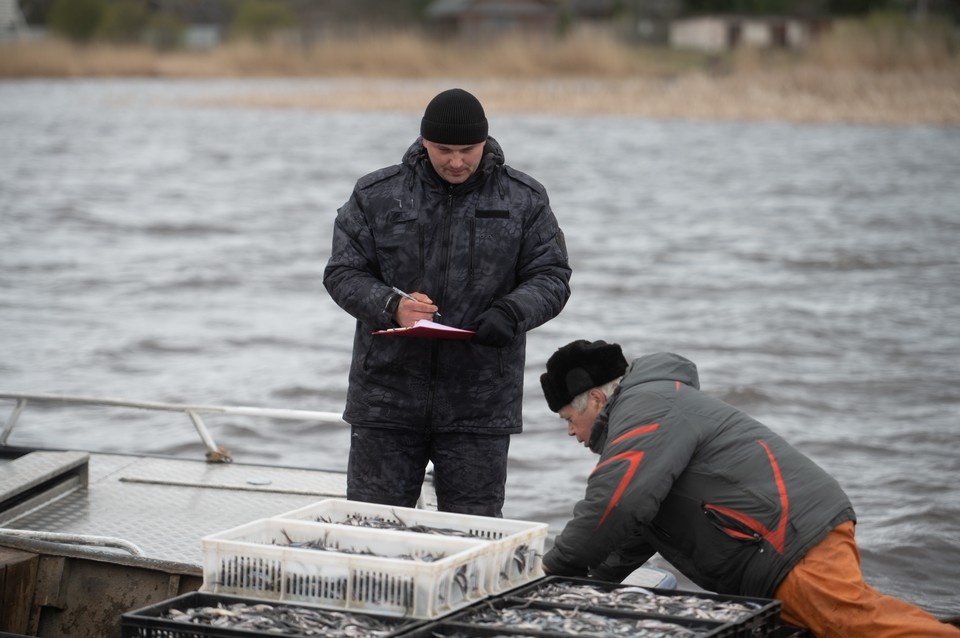    На Дону зафиксировали снижение запасов отдельных видов рыб. Алексей БУЛАТОВ