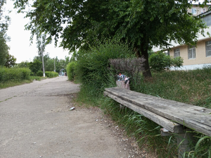    Площадь Радищева (фото автора, съёмка 31.05.2026)