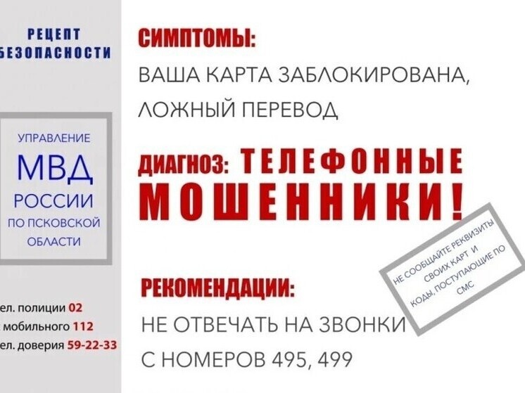     Фото: УМВД России по Псковской области