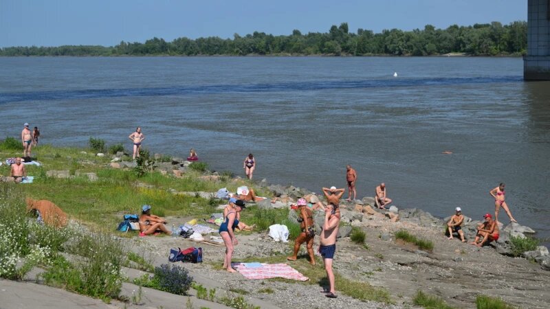     Барнаульцы вышли «пожариться» на палящем солнце и искупаться. Дмитрий Лямзин