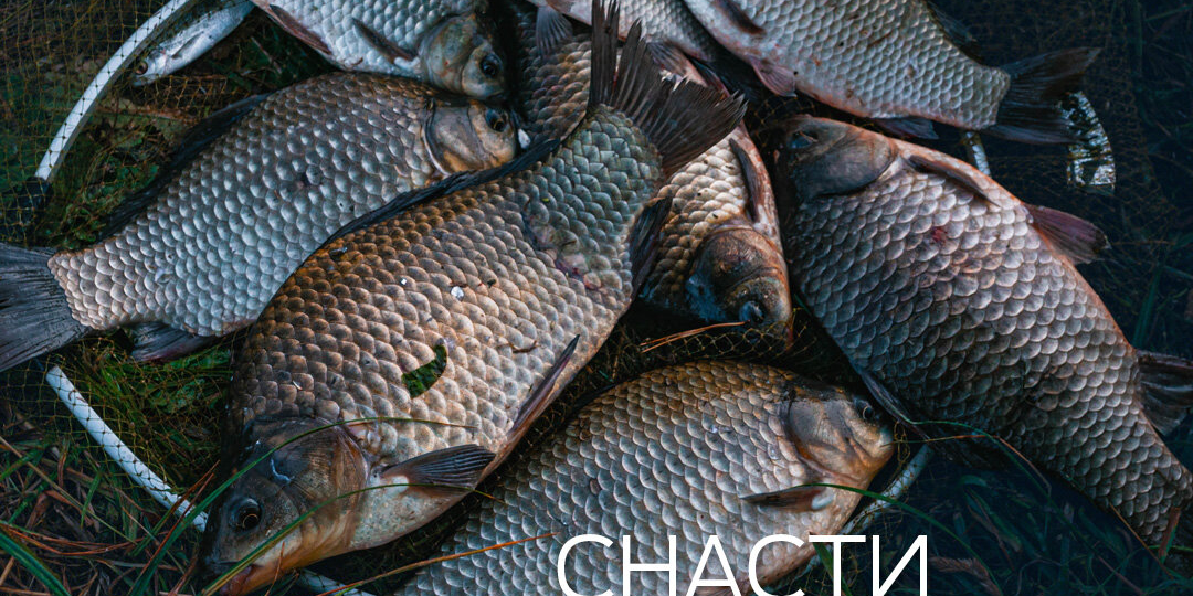 Какие снасти нужны для ловли карася