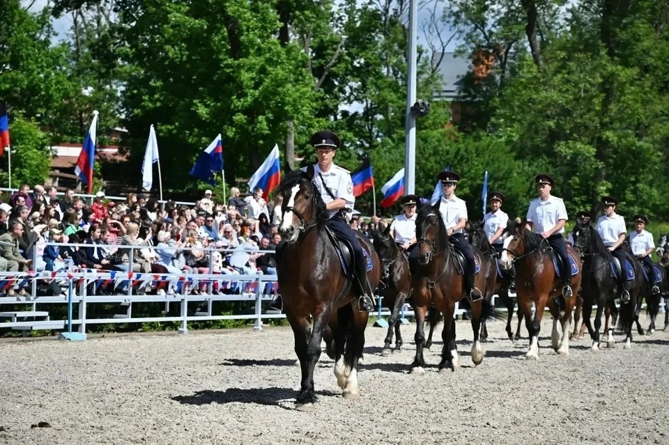    В конноспортивном центре уже содержатся около 20 лошадей. Фото: max.ru/PushilinDenis