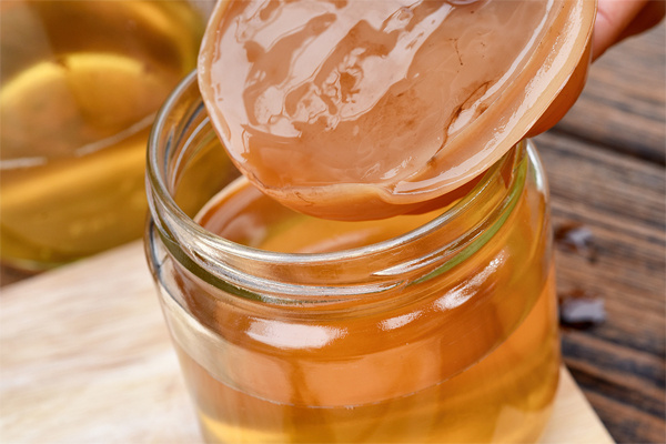 Так называемая SCOBY