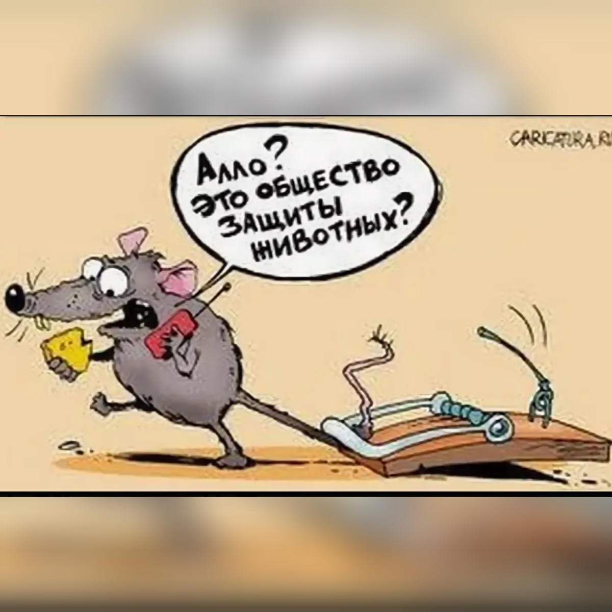 Картинка из интернета